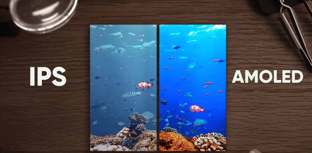 Что выбрать IPS или AMOLED при покупке смартфона